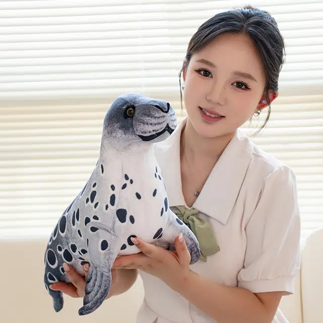 40cm60cm