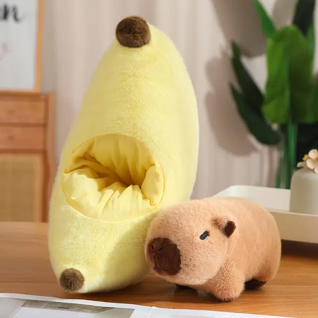 20cm30cm