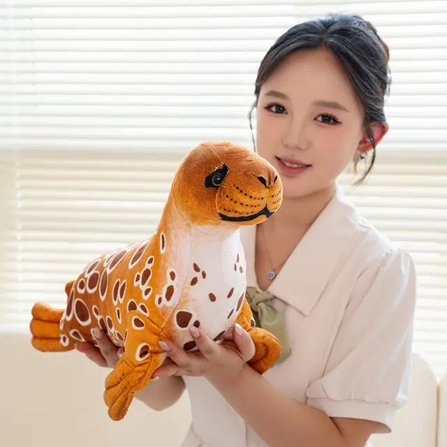 40cm60cm