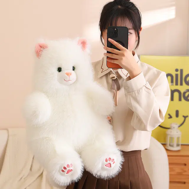 40cm50cm