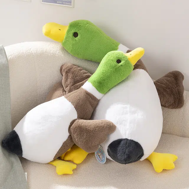 75cm100cm