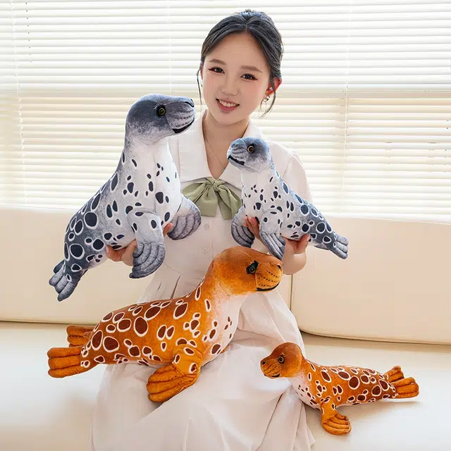 40cm60cm
