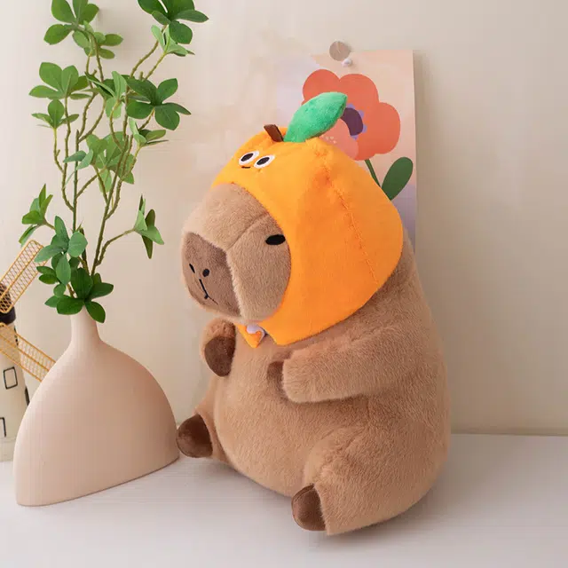 30cm40cm