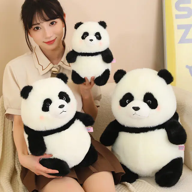 22cm35cm45cm