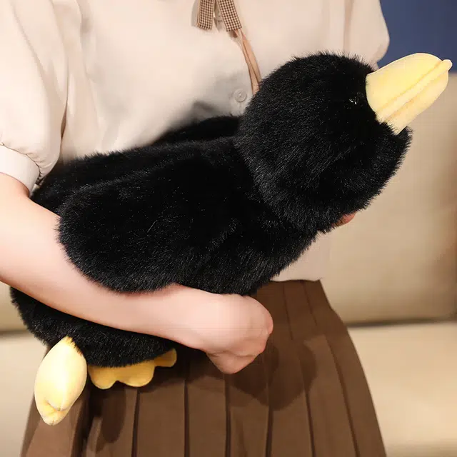 30cm50cm65cm100cm