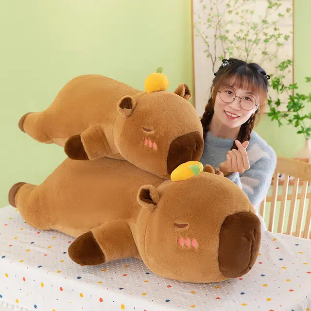 60cm80cm100cm