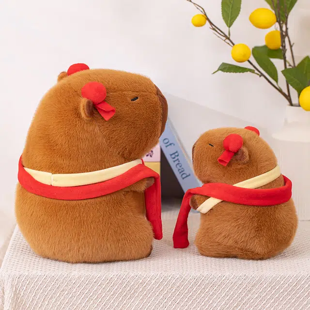 22cm33cm
