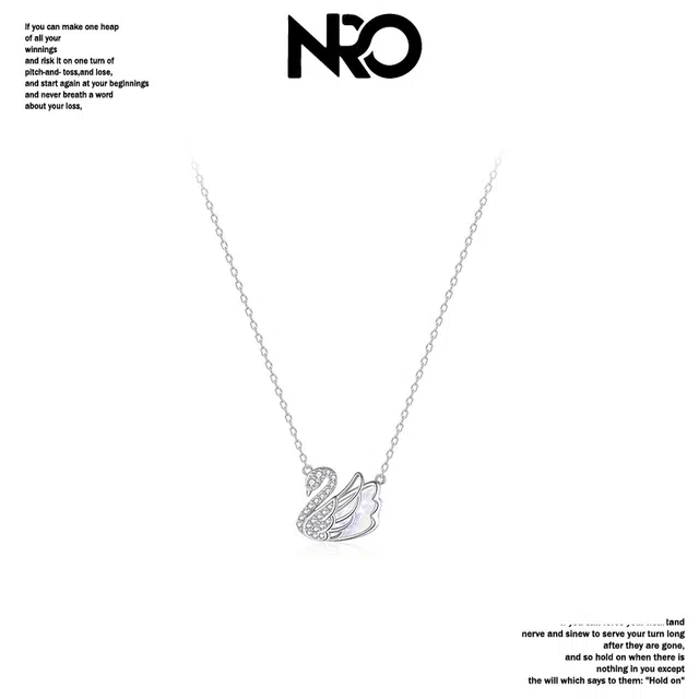 NRO s925 ins