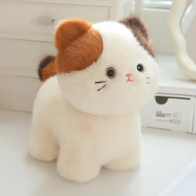 20cm30cm