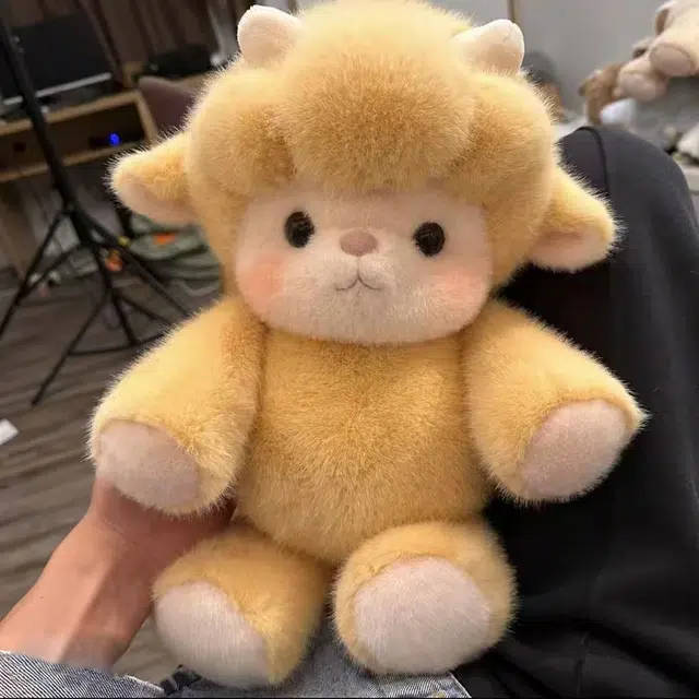 45cm60cm