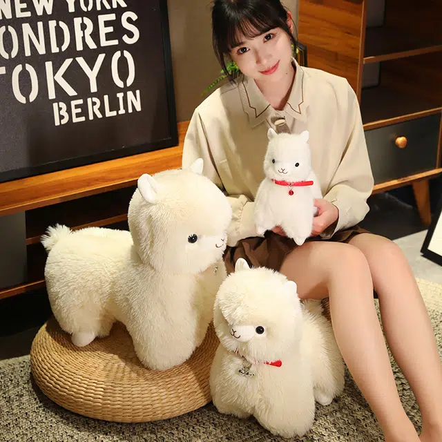25cm35cm45cm