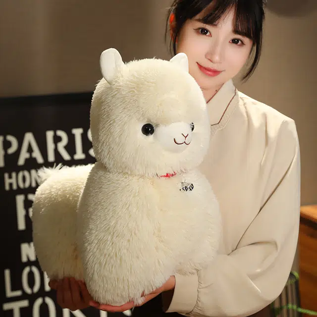 25cm35cm45cm