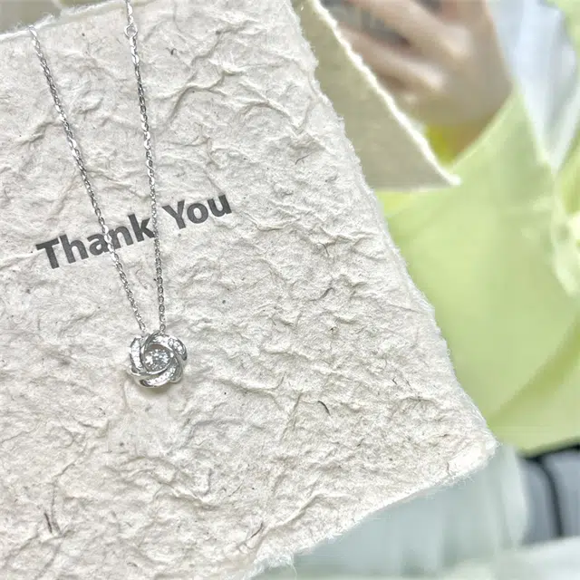 ins S925