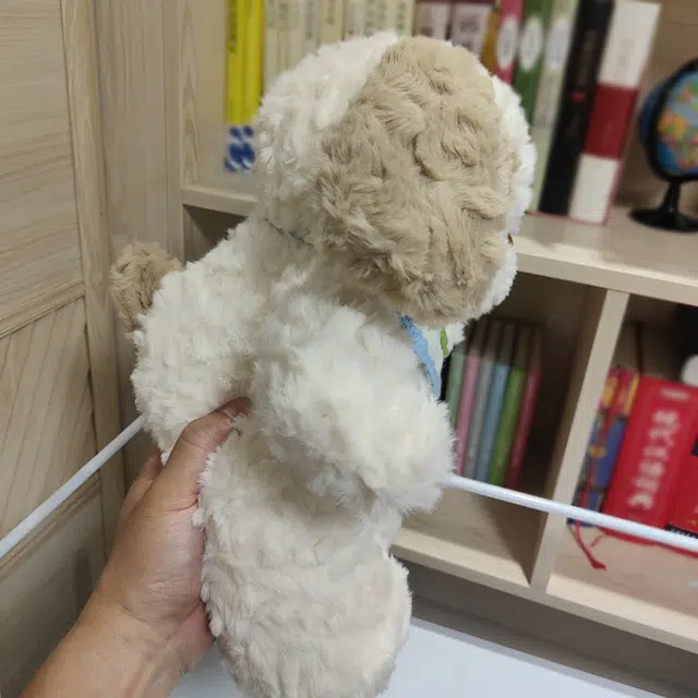 38cm