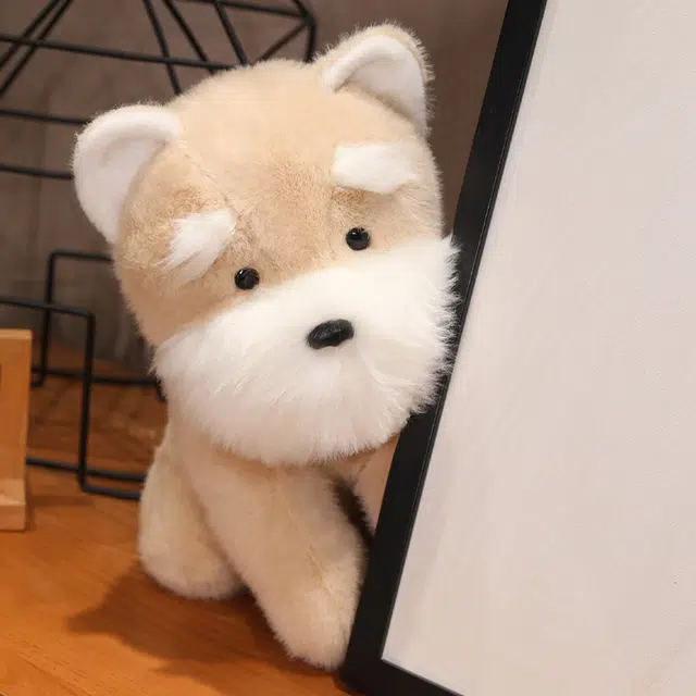 22cm35cm45cm