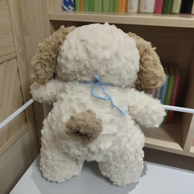 38cm