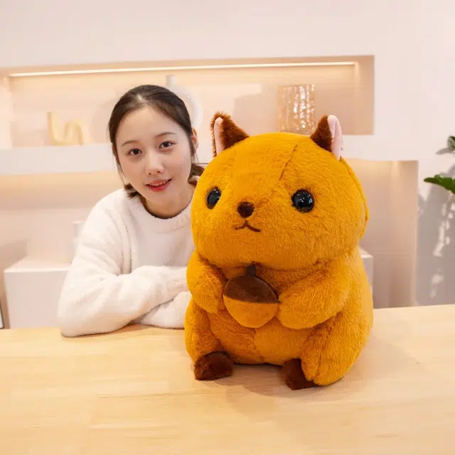 40cm48cm