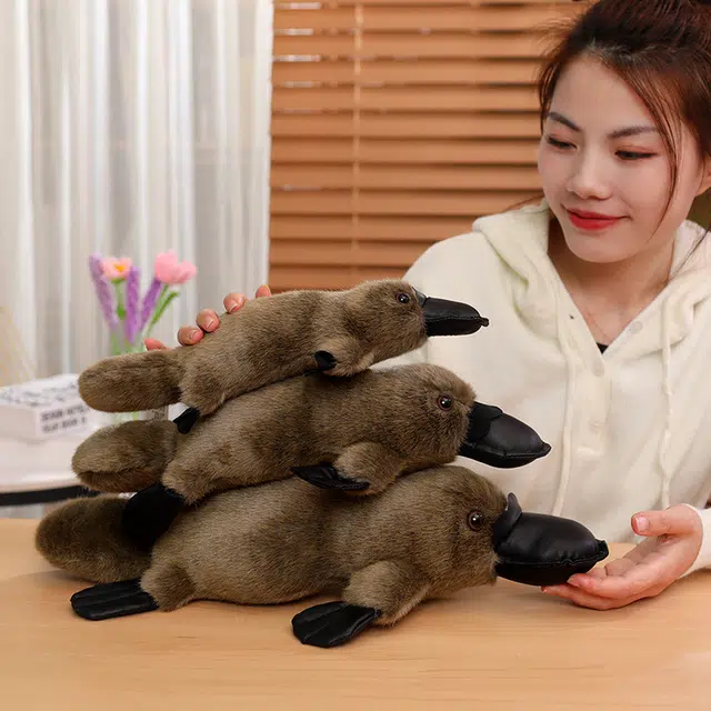 30cm35cm45cm