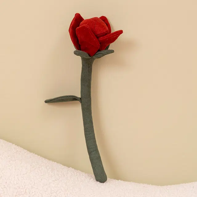 30cm
