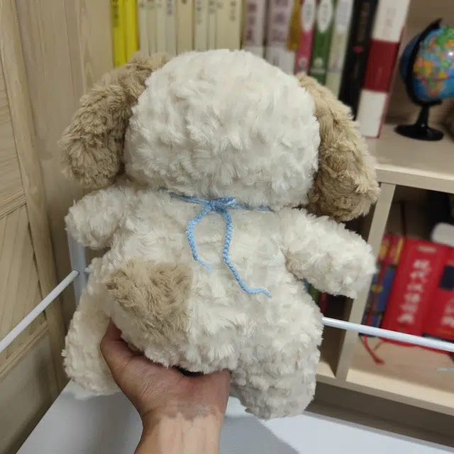 38cm