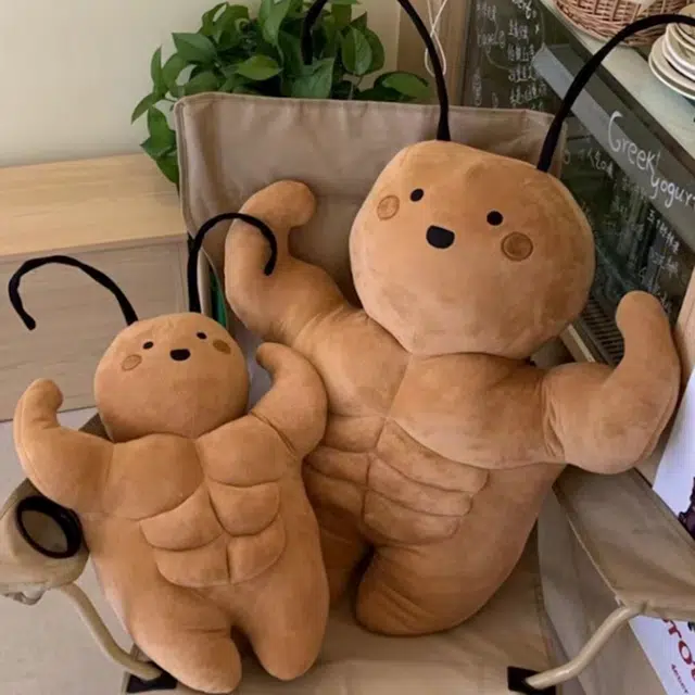 AECELI 35cm50cm