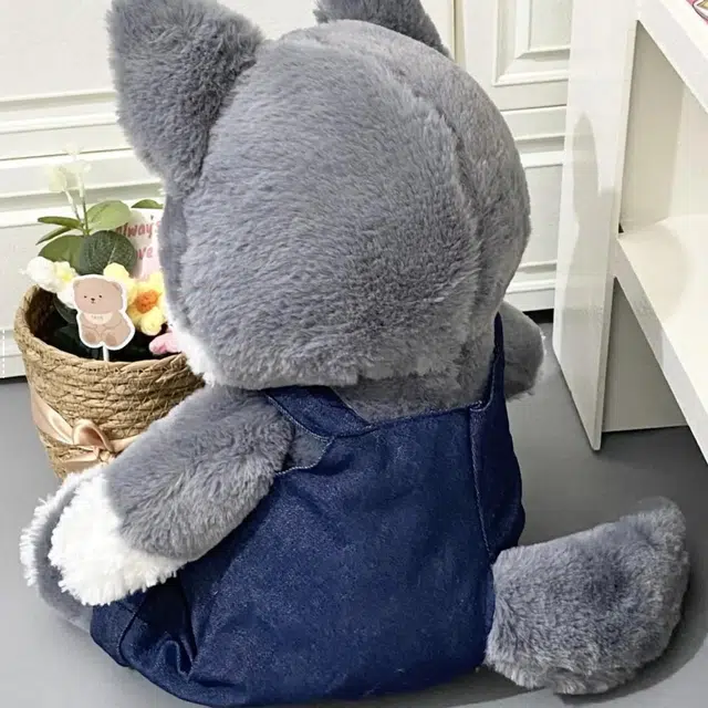AECELI 50cm
