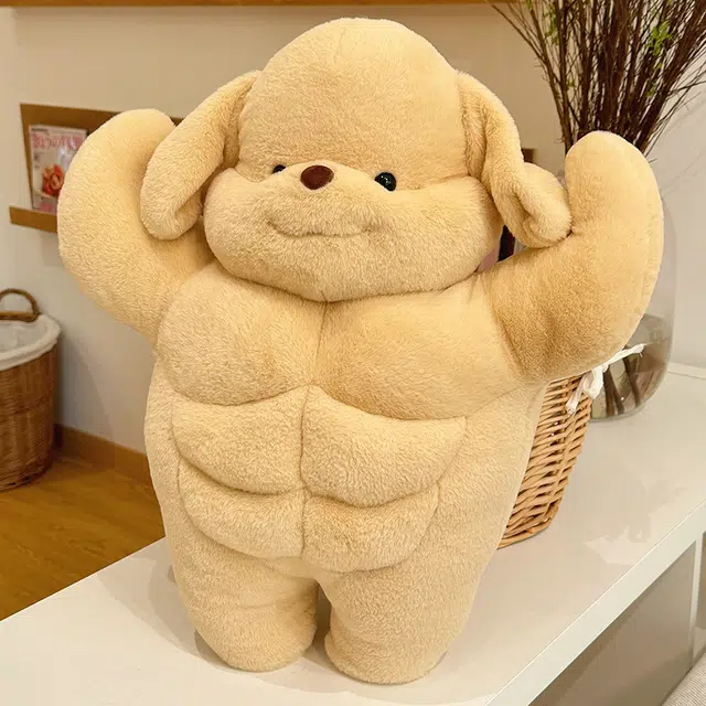 AECELI 50cm