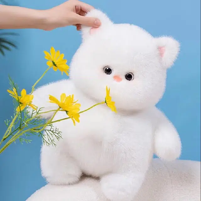 AECELI 50cm70cm85cm
