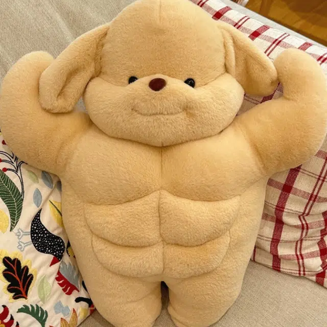 AECELI 50cm