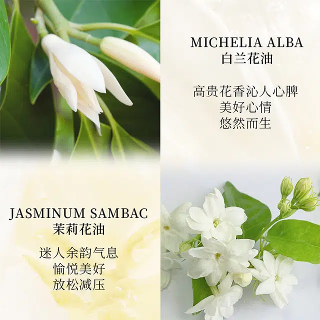 雪玉 紧致抗皱面泥膏 保湿滋润 油性肤质干性肤质混合型肤质中性肤质