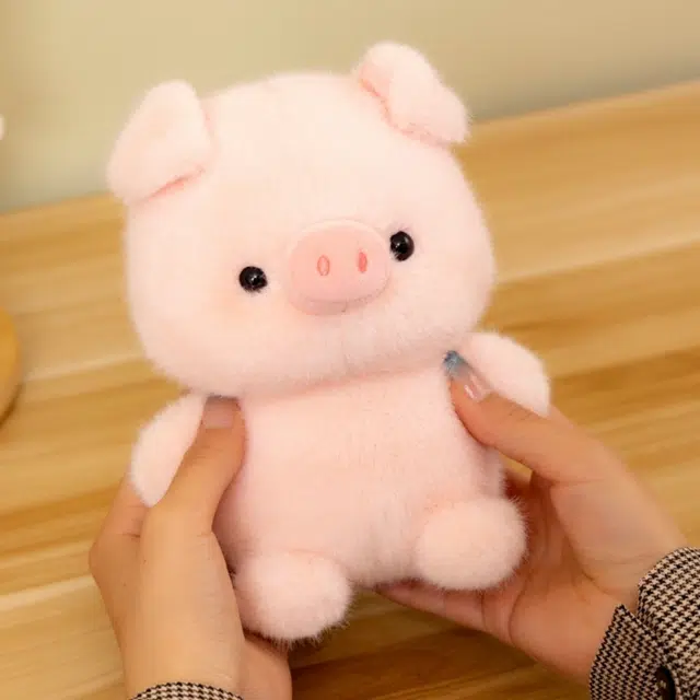 16cm