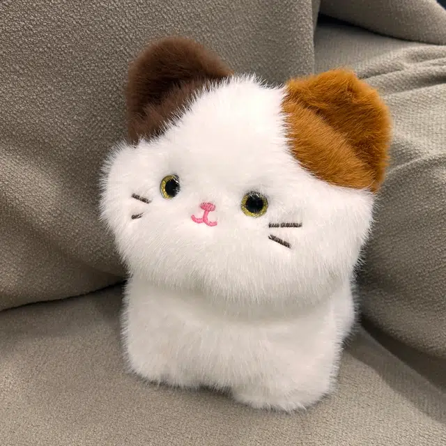 25cm