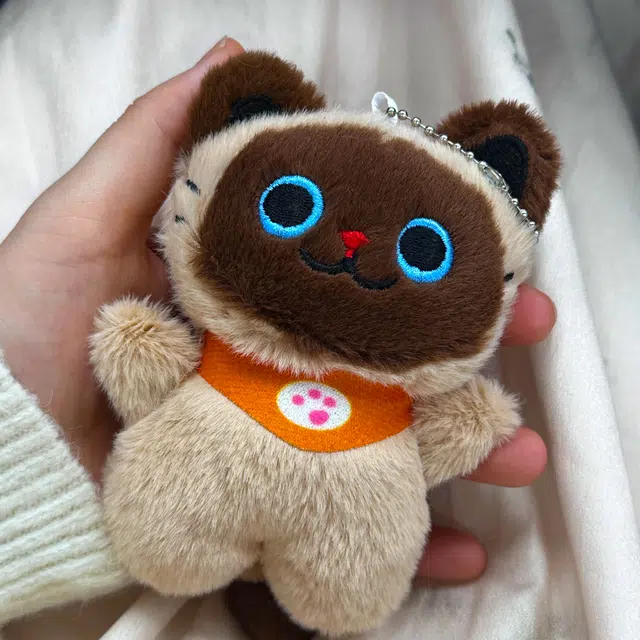 12cm