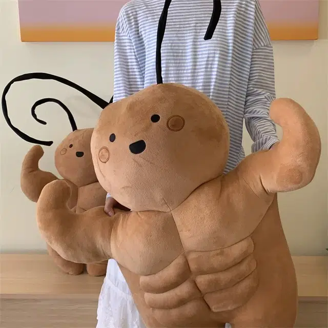 35cm50cm
