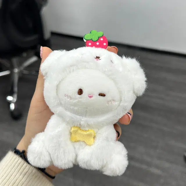 13.5cm