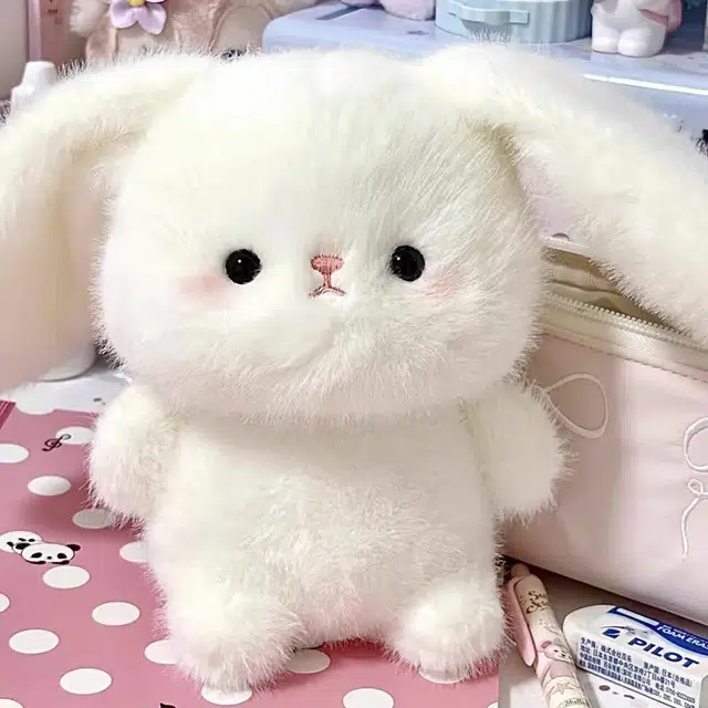 16cm