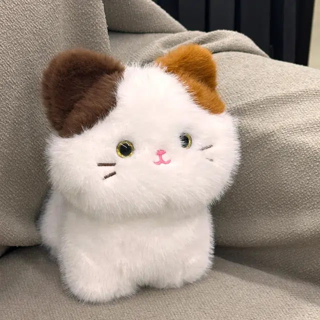 25cm