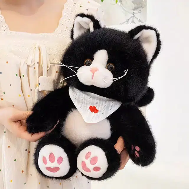 25cm