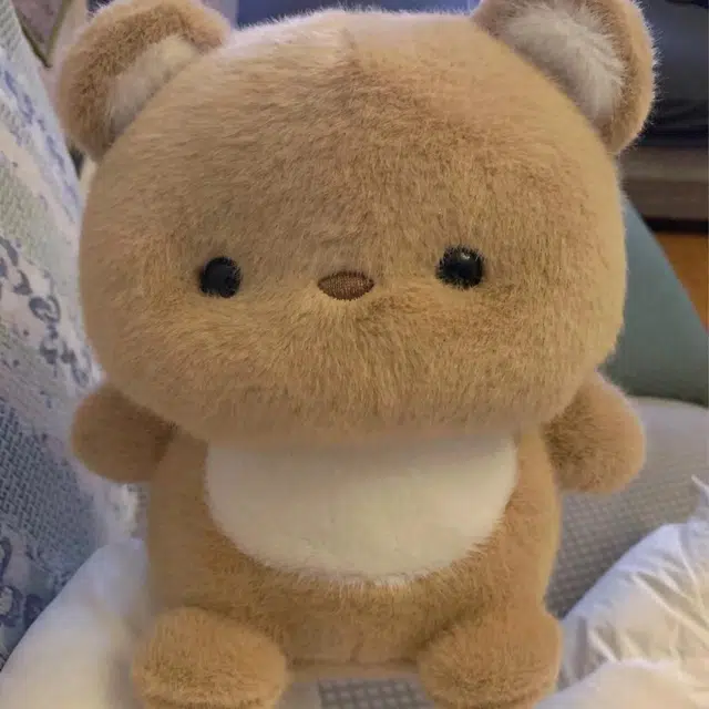 16cm