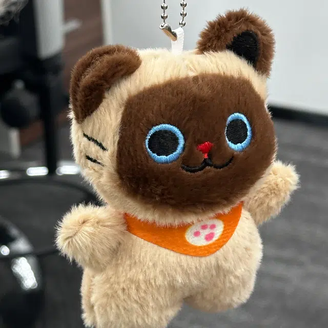 12cm