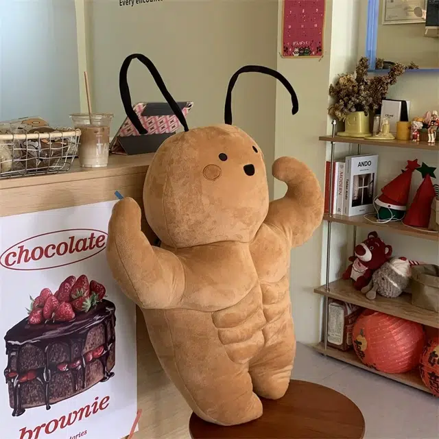 35cm50cm