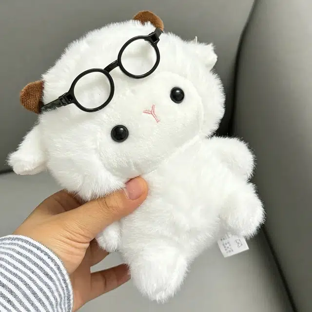 16cm