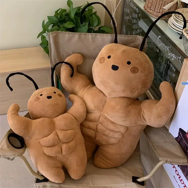 35cm50cm