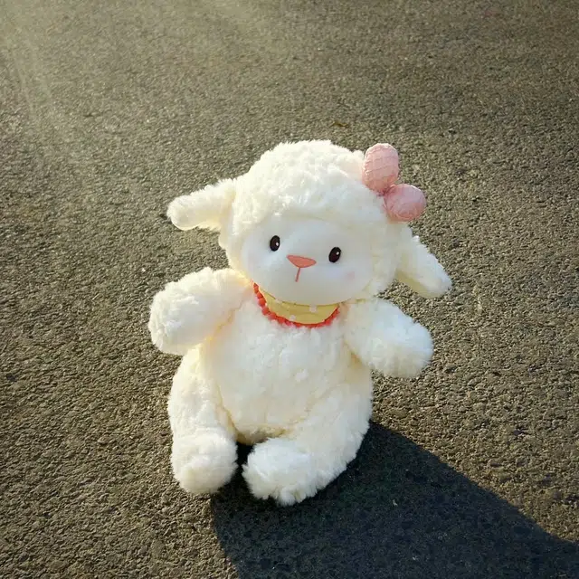 24cm