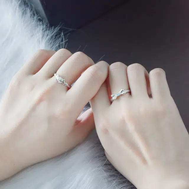 DVNRR s925
