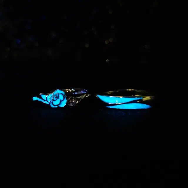 DVNRR s925