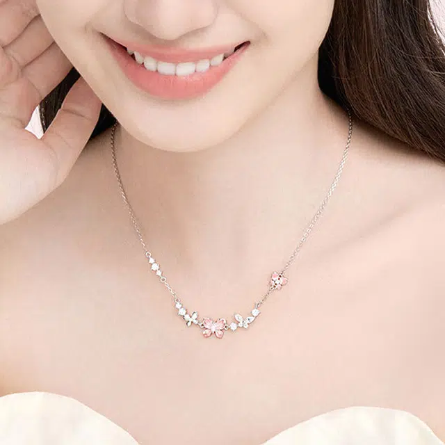 DVNRR s925
