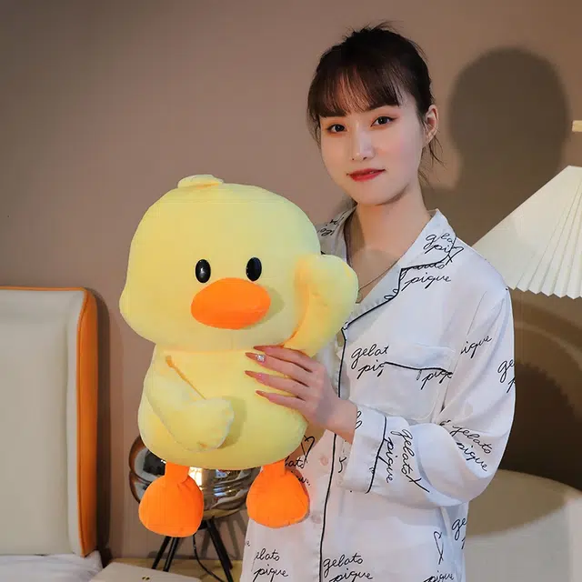 50cm80cm100cm