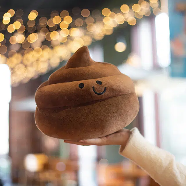 狐狸仙 一坨大便 便便抱枕 玩偶 毛绒公仔