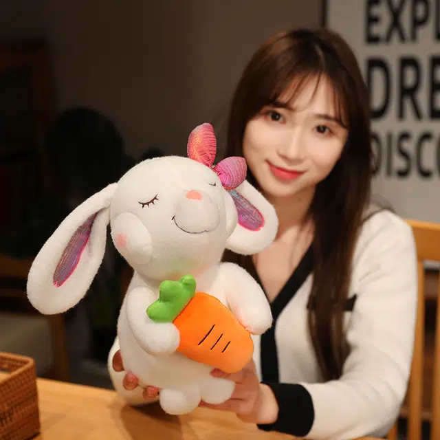 24cm28cm